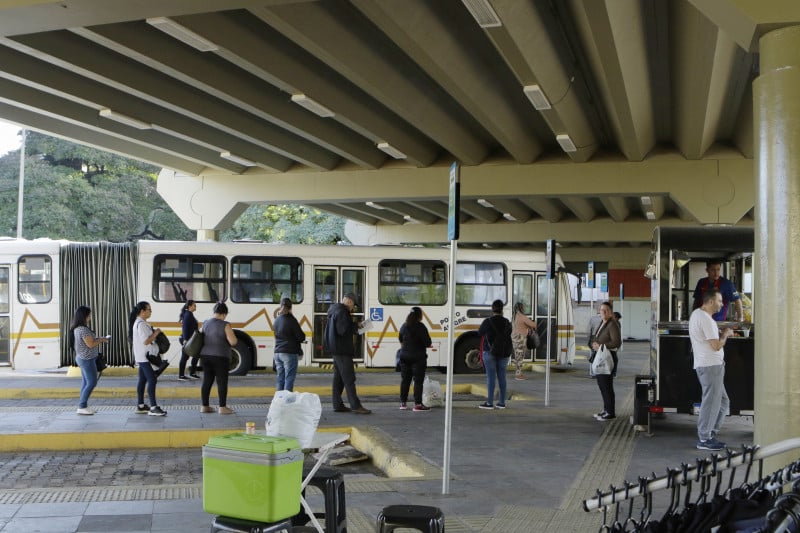 ANA TERRA FIRMINO/JC