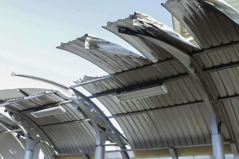 ANA TERRA FIRMINO/JC