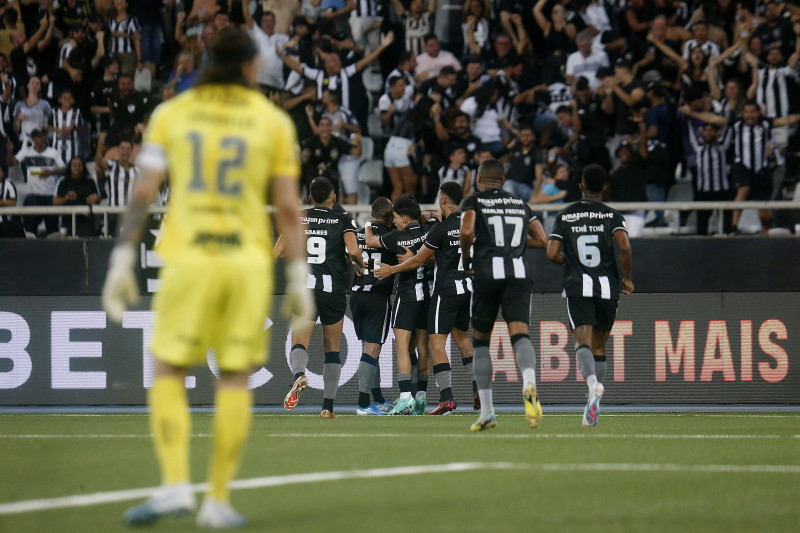 Botafogo &eacute; a grande surpresa da competi&ccedil;&atilde;o, l&iacute;der com 100% de aproveitamento 