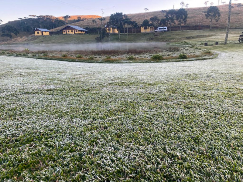 O ar seco associado ao vento calmo e ao frio poderão formar geada tardia