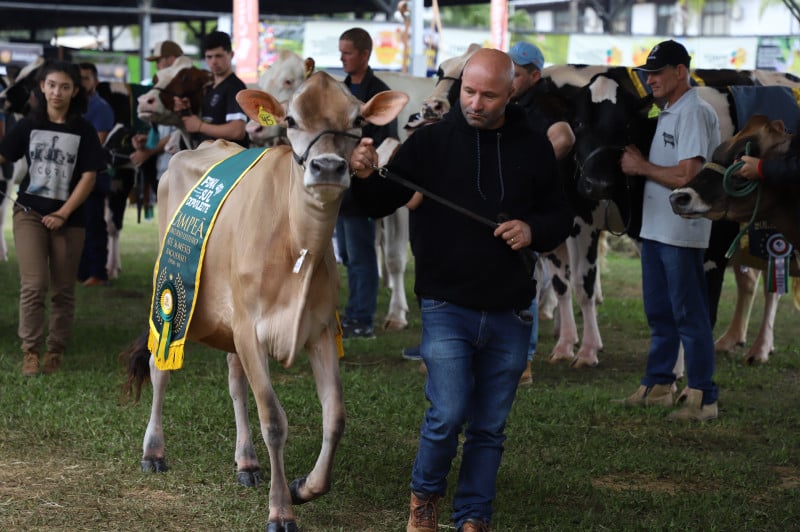 Desfile com os grandes campeões de diversas espécies e raças de animais encerrou a feira