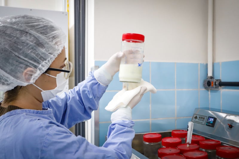 O leite que vai para os bancos é pasteurizado e passa por processos microbiológicos para que seja seguro para os bebês