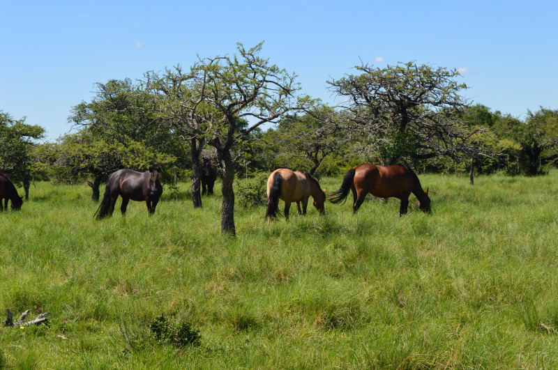 Seminário discute reconstrução do Rio Grande do Sul