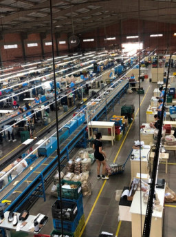 Setor calçadista prevê danos irreversíveis com tarifaço de Trump