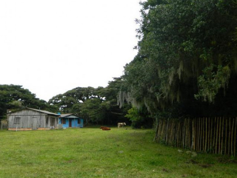 S&atilde;o 48,9 hectares identificados e declarados como terras das 37 fam&iacute;lias quilombolas