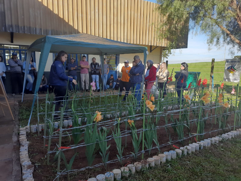 Com baixo custo, ideia da Emater é estimular a produção nas localidades