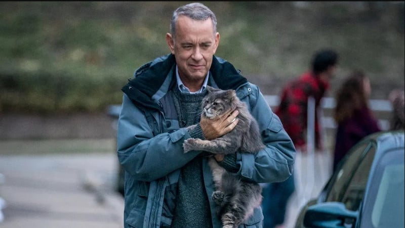 Evento acontece neste sábado (17), às 10h30min 