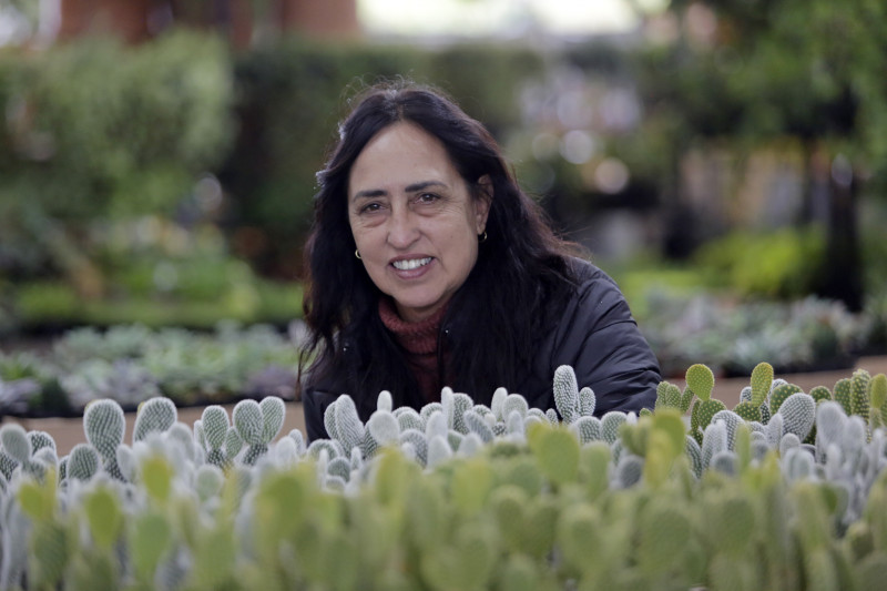 Permissionária da Central de Flores, Bia Lemos espera pelo aquecimento das vendas até o final do ano