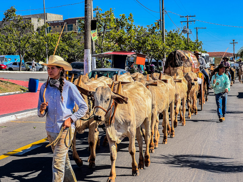 Dia do Boi em Goiás