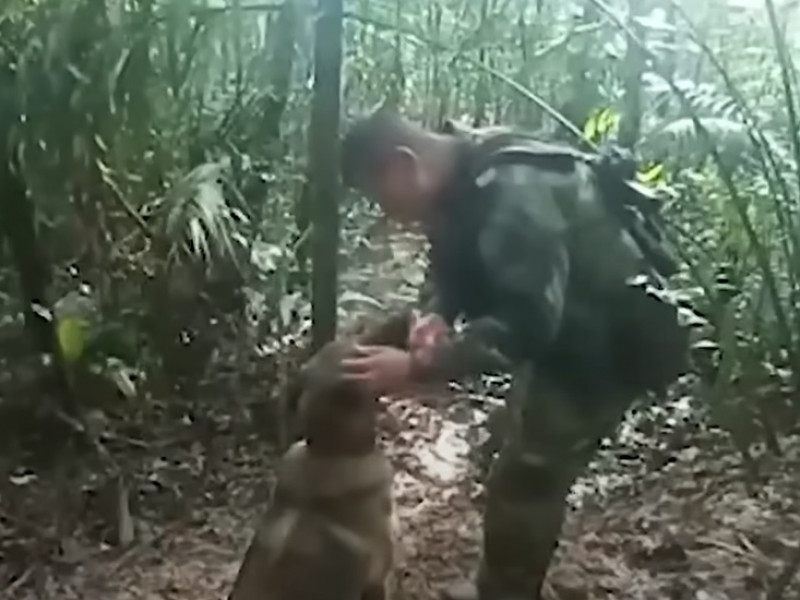 Trabalho do pastor belga foi crucial para encontrar crianças na Colômbia