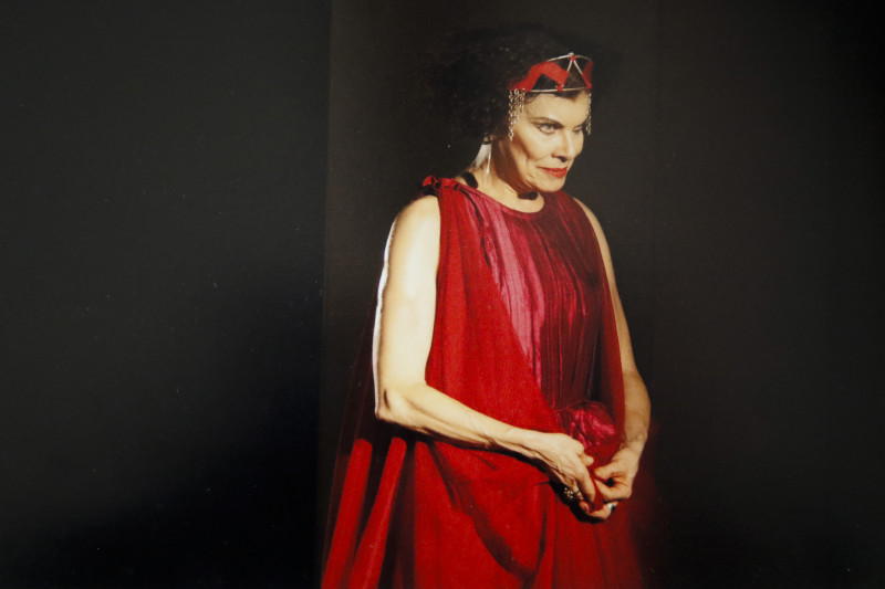 Em 2007, dirigida por Luciano Alabarse, Sandra Dani atuou em 'Medeia', recebendo o A&ccedil;orianos de Melhor Atriz