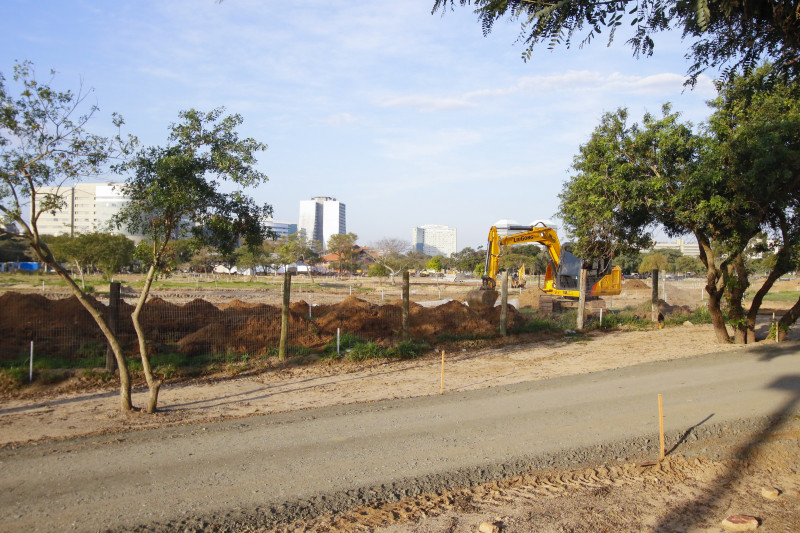 Com obras realizadas pelo consórcio Gam3 Parks, até o momento foram retiradas uma centena de árvores