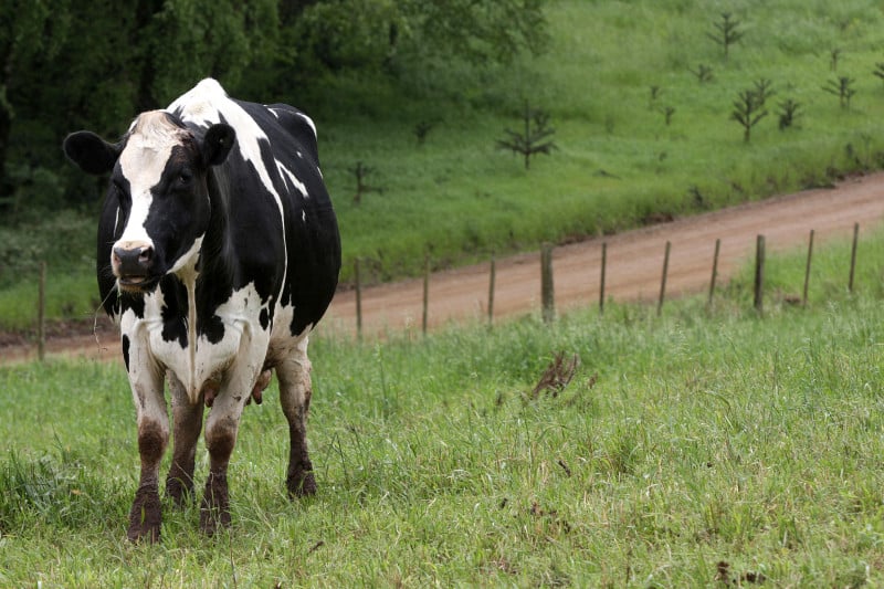 Resultado foi puxado pelo aprofundamento da deflação nos preços agropecuários ao produtor