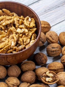 Produção nacional de noz-pecã terá queda de pelo menos 50% nesta safra