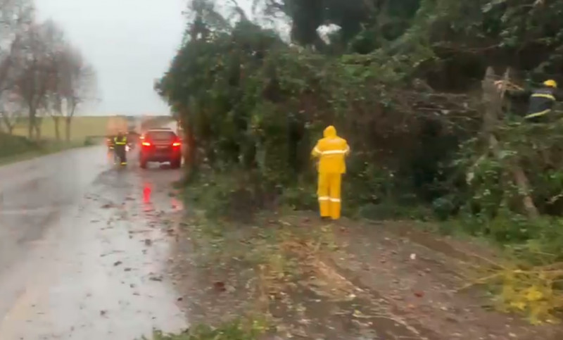 Equipes da PRF, CRBM, DNIT e EGR trabalham para desobstruir estradas bloqueadas