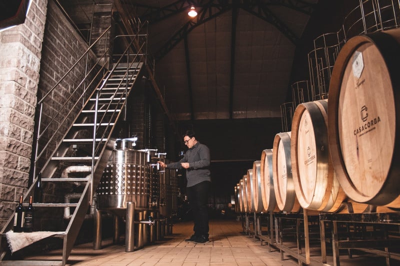 O empreendimento reúne vinhedos, canavial, olival, vinícola, alambique, lagar, wine bar, restaurante e cabanas