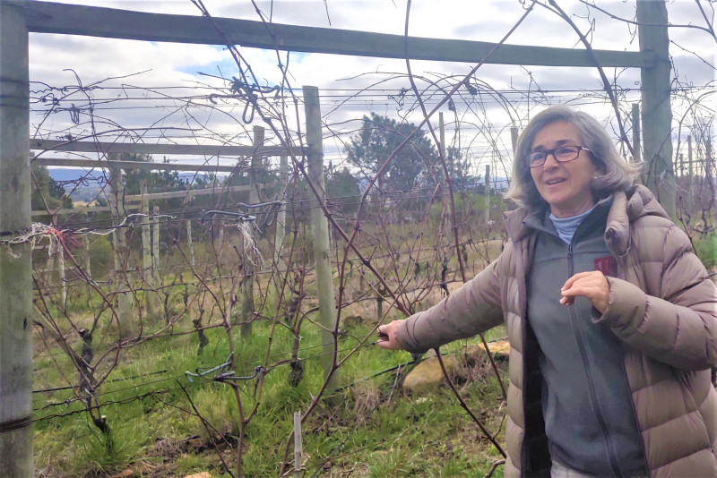 Paula mostra aos turistas como são produzidos os vinhos Alto de la Ballena