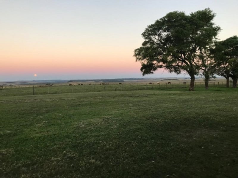 Fazenda Cinamomo, do ex-presidente João Goulart, em Itaqui-RS, está à venda