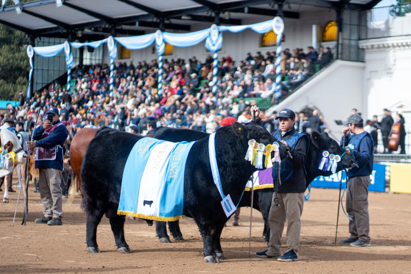 Liberal, agro brasileiro não quer Javier Milei eleito na Argentina