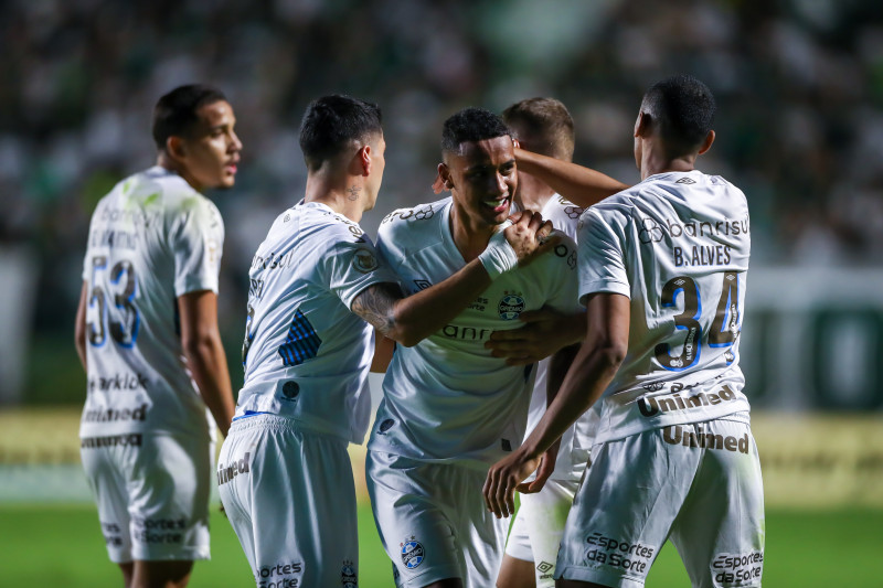 palmeiras e tombense