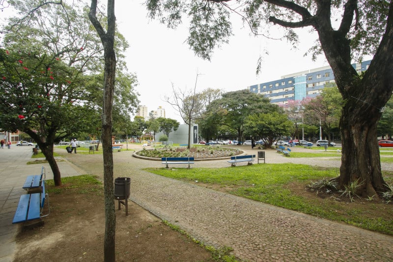 A prefeitura estima que haja 1 milhão de árvores na capital gaúcha