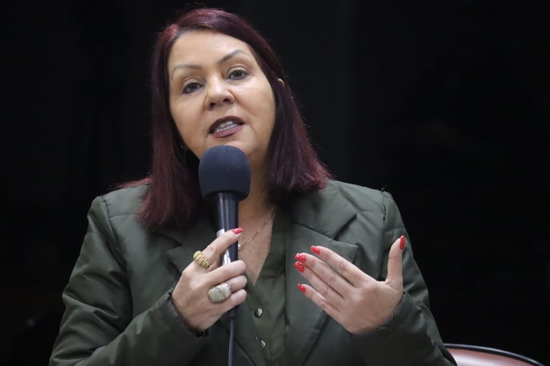 Proposta da vereadora Rose Frigieri é mobilizar as cidades da região para viabilizar a criação da instituição