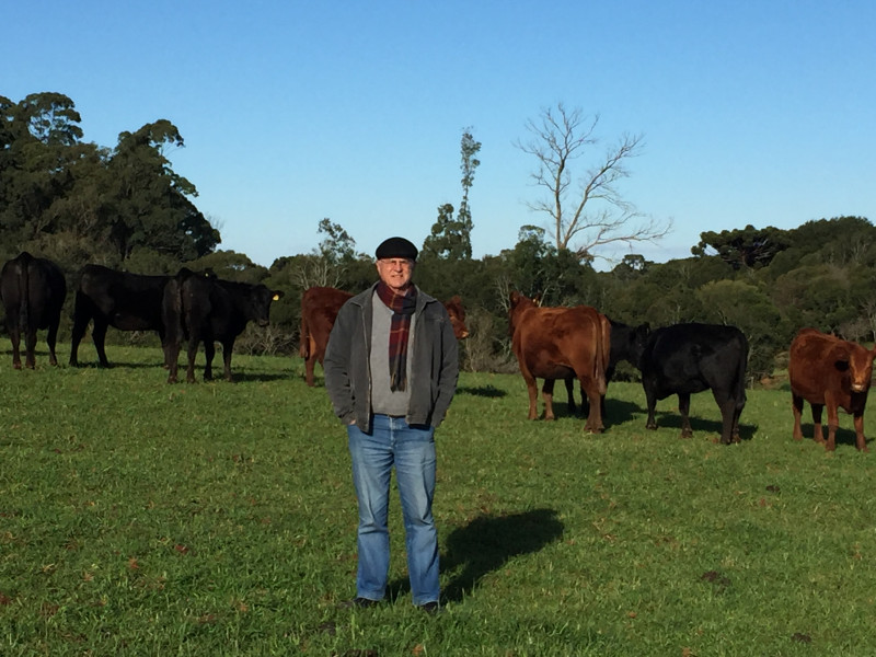 Simm diz que o selo era uma demanda antiga do segmento e que sua recente adoção já rende frutos e está moldando o futuro da pecuária gaúcha 