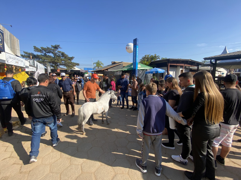 Na quarta, ingressaram na Expointer, no Parque Assis Brasil, 91.647 pessoas
