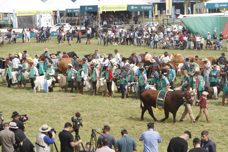 {'nm_midia_inter_thumb1':'https://www.jornaldocomercio.com/_midias/jpg/2023/09/01/206x137/1_eo_010923_1000_abertura__195_aaaaaaaaa-10318400.jpg', 'id_midia_tipo':'2', 'id_tetag_galer':'', 'id_midia':'64f21aa8acf28', 'cd_midia':10318400, 'ds_midia_link': 'https://www.jornaldocomercio.com/_midias/jpg/2023/09/01/eo_010923_1000_abertura__195_aaaaaaaaa-10318400.jpg', 'ds_midia': 'Abertura Oficial da 46ª Expointer e Desfile dos Grandes Campeões', 'ds_midia_credi': 'EVANDRO OLIVEIRA/JC', 'ds_midia_titlo': 'Abertura Oficial da 46ª Expointer e Desfile dos Grandes Campeões', 'cd_tetag': '1', 'cd_midia_w': '800', 'cd_midia_h': '533', 'align': 'Left'}
