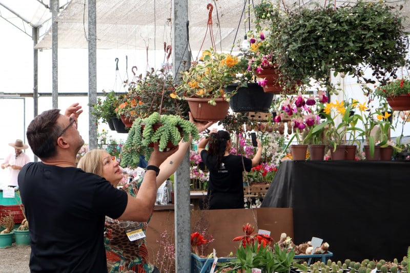 Pavilhão das flores da Expointer reuniu 15 expositores este ano