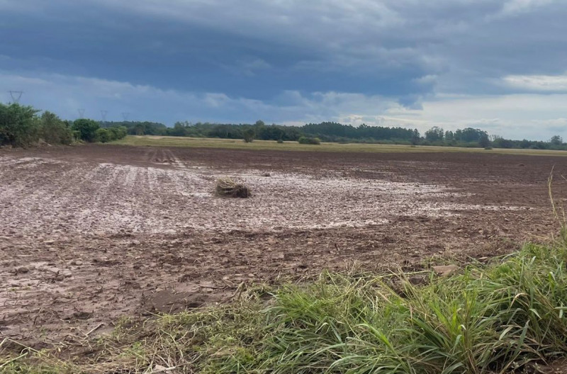 Tabaco e bovinocultura foram as que mais tiveram perdas