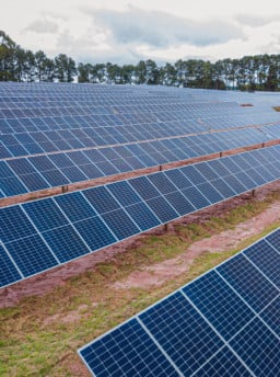 Energia solar bate recorde de instalações em 2024 no Brasil