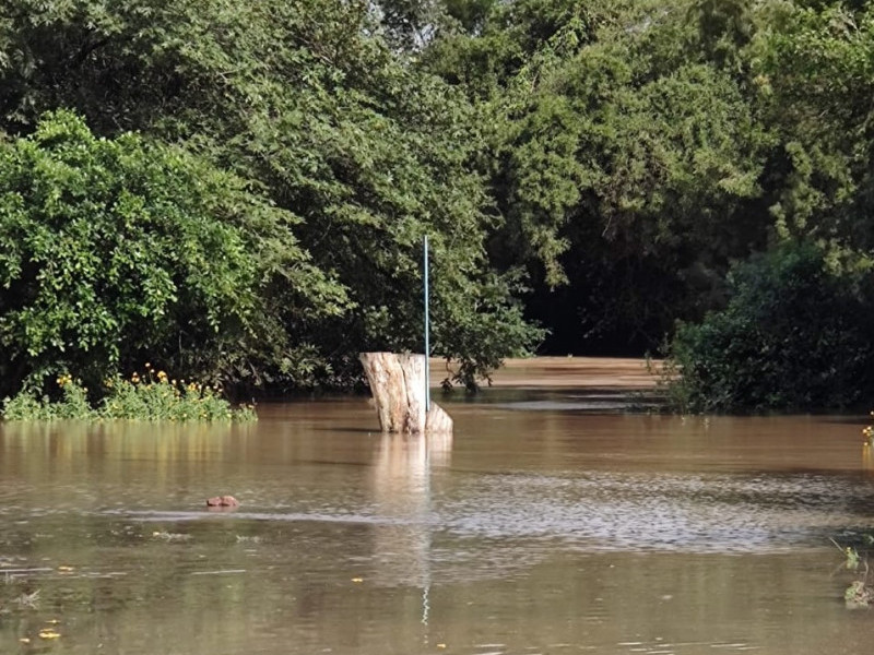 Barra do Ribeiro foi um dos munic&iacute;pios atingidos pelas fortes chuvas desta semana