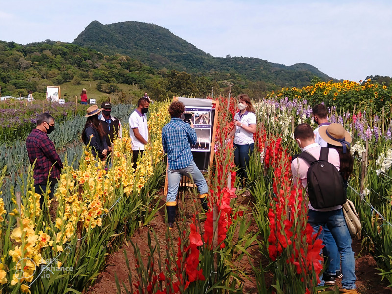 Desde 2018, quando foi implantado, o projeto já capacitou mais de 150 famílias de agricultores no Estado 