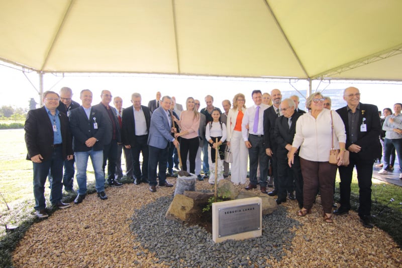 Sequoia Lunar, "a Árvore da Lua", foi plantada na sede da Fecomércio-RS, em Porto Alegre