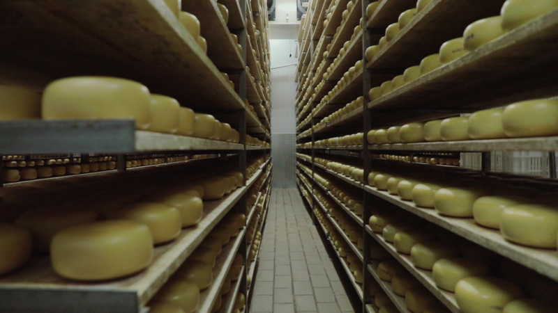 Região se destaca no setor de queijos, influenciada pelo legado de cooperativas