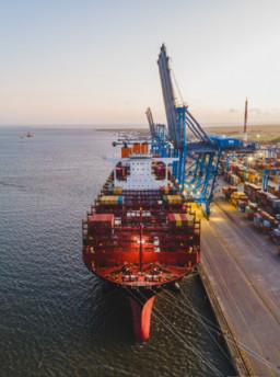 Tecon Rio Grande volta a operar em patamares pré-pandemia