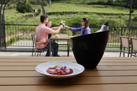 Fartura em destinos: onde misturar turismo com vinho?