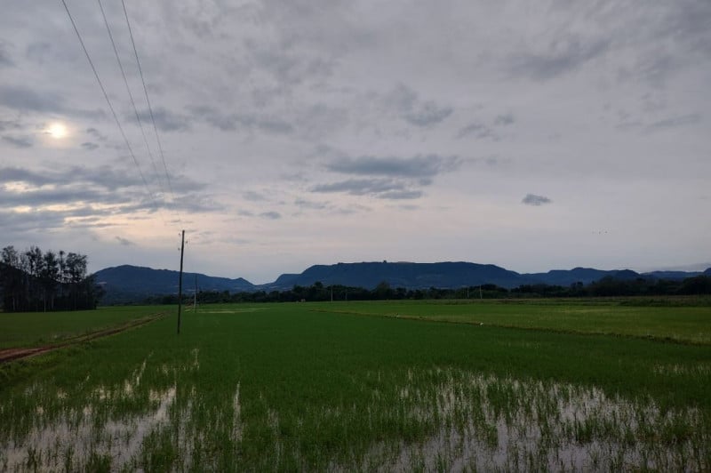 Safra 2026 terá queda de 3% e totalizará 335,7 milhões de toneladas, segundo IBGE