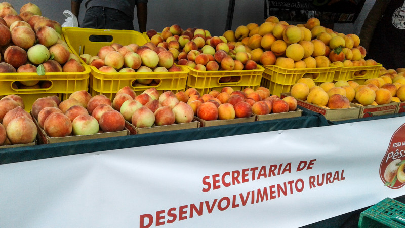 Comunidade São Pedro vai receber a feira e demais eventos no domingo