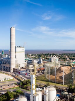 CMPC deve confirmar investimento de cerca de US$ 5 bilhões em Barra do Ribeiro