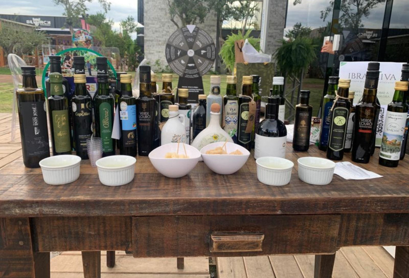 Pressão alta, diabetes, infarto e outras doenças podem ser minimizadas com azeite extravirgem