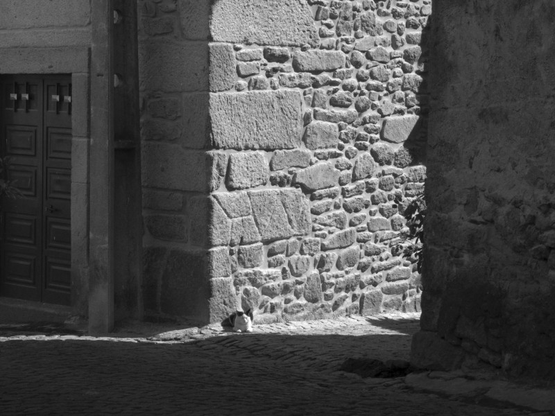 Exposição de Felizardo é uma das atrações da inauguração de nova livraria do Bom Fim, a Clareira, que acontece nesta sexta (1º), às 17h 