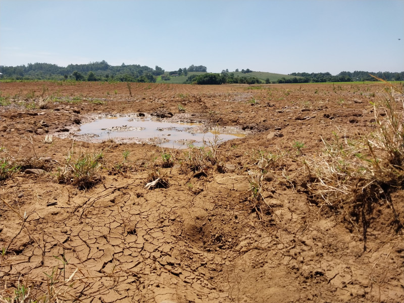 Rodrigo Nascimento/DIVULGAÇÃO/CIDADES