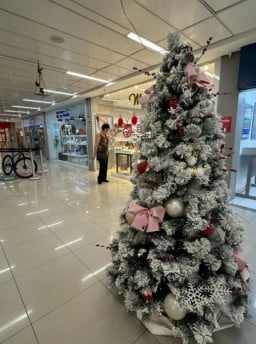 Pesquisa mostra intenção de gastos para este Natal