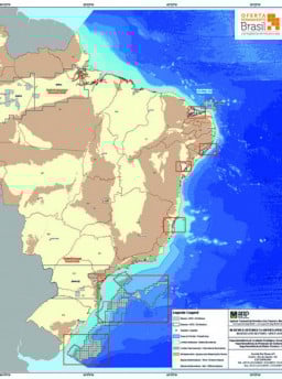 Bacia de Pelotas tem 44 blocos leiloados e receberá investimento de mais de R$ 1,5 bilhão
