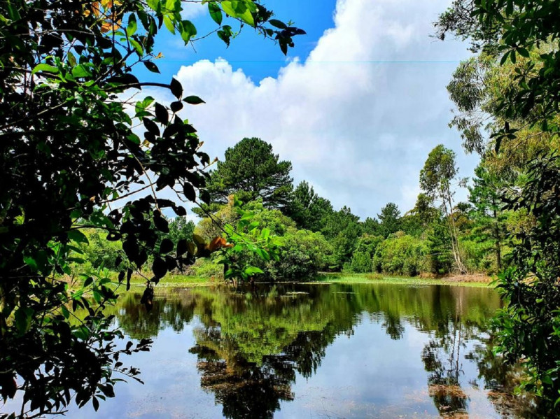 &Aacute;rea privada, com mais de 70 mil metros quadrados, ser&aacute; repassada ao munic&iacute;pio