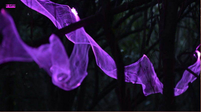 Exposição REFLEXOS [IN]VERSOS no País das Maravilhas estreia no Farol Santander e fica disponível para visitação até 17 de março de 2024 