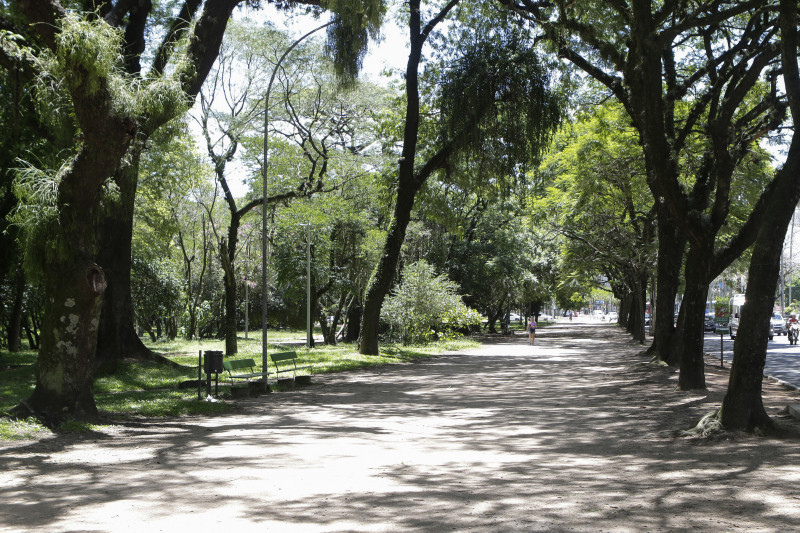 Foram identificadas 6.436 árvores de 260 espécies na Redenção