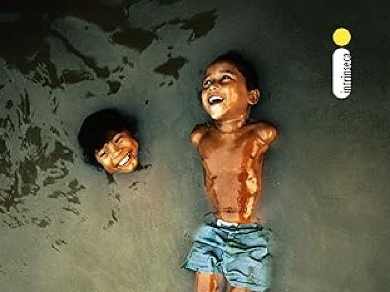 Novo contrato social